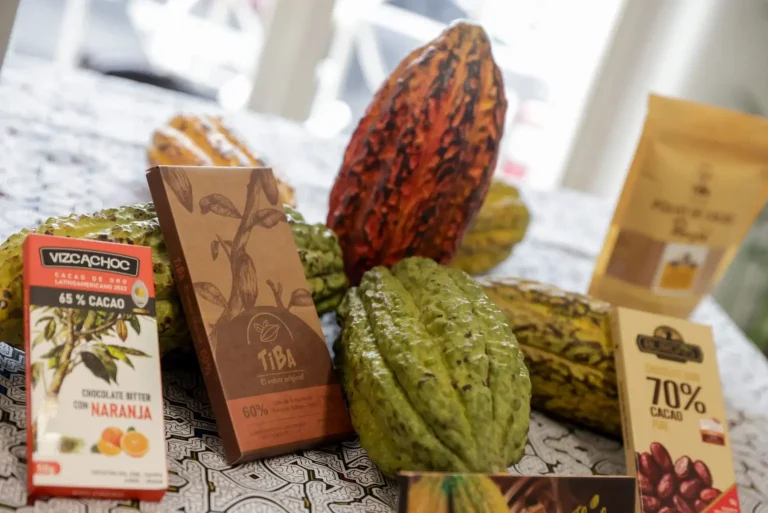 Guía para realizar exportación de cacao